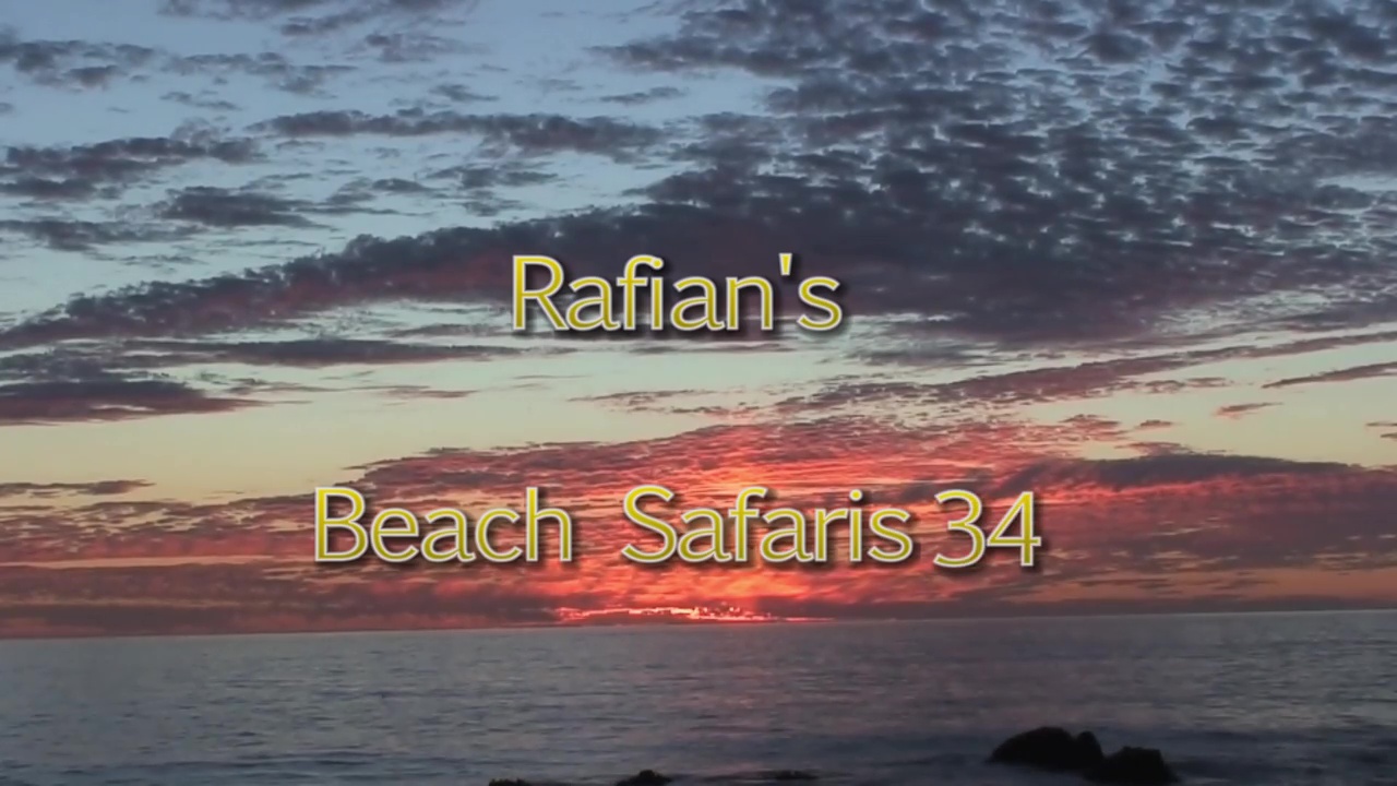 Rafian s Beach Safaris #34 HD